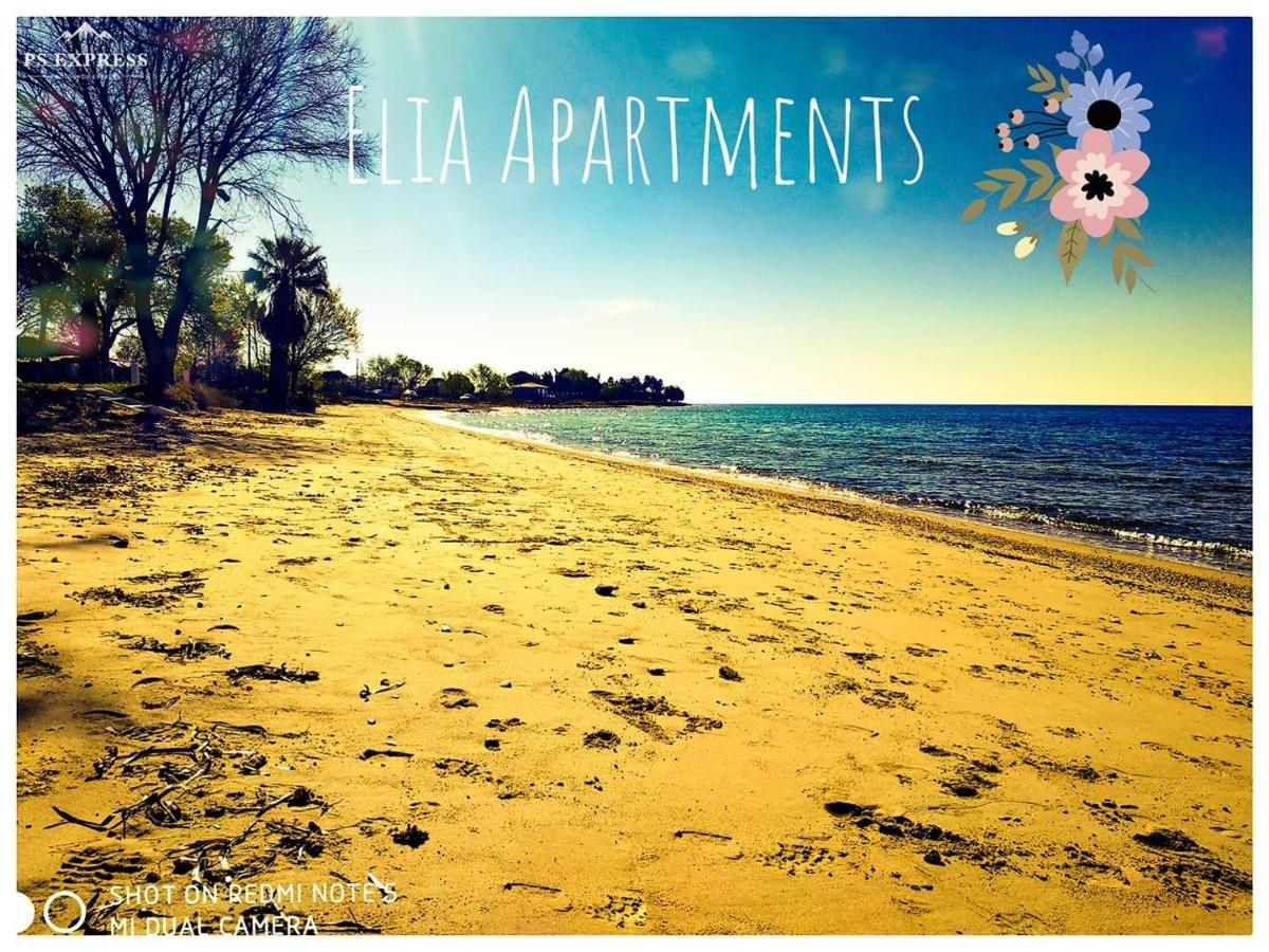 Elia - Nea Triglia Holiday home *